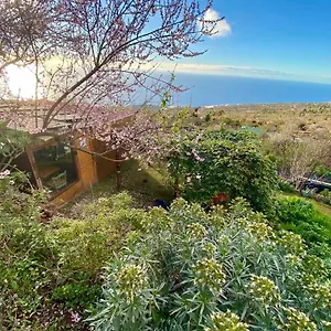 bungalow-abracaribes.in-canary-islands.com/